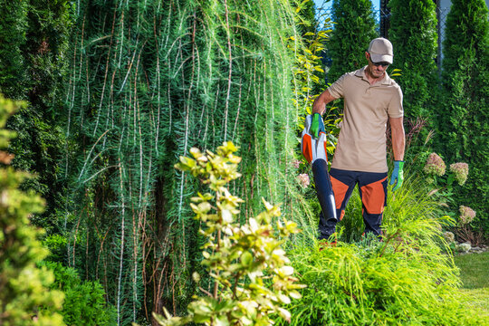 Man uses a leaf blower in a garden with green shrubs and plants