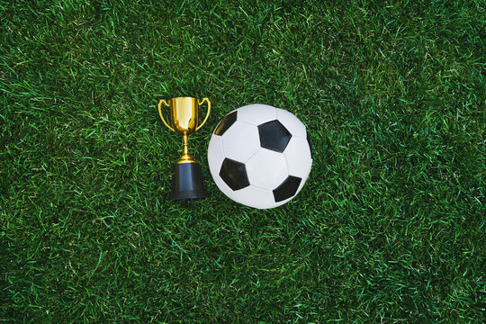 A golden trophy and soccer ball on the grass field. A concept for growth in business and sports.