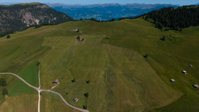 View of beautiful landscape in the Alps with fresh green meadows in the background on a sunny day with blue sky and clouds in summertime. Alpe de Siusi, Dolomite Alps