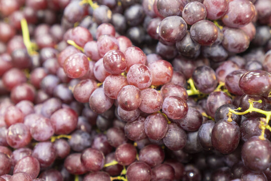 Red grape cluster closeup showing ripe purple fruit with natural bloom, detailed texture, and fresh harvest appeal for food, market, and agriculture concepts