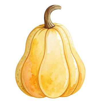 Detailed watercolor illustration of a fresh ripe yellow pumpkin isolated