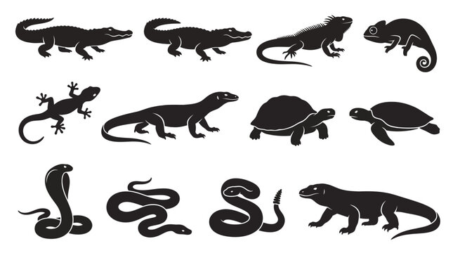 A striking collection of reptile silhouettes featuring crocodiles lizards chameleons turtles and snakes presented in a minimalist monochromatic style evoking a sense