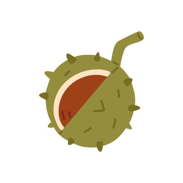 Cute vector sticker of a chestnut inside a spiky husk, drawn in a playful autumn style for seasonal nature, harvest, woodland, Thanksgiving and fall-themed designs.