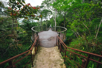 Obraz premium Walkway bridge forest railing stair trail nature tree green park elevated walkway with metal railing and stair through dense tropical forest, calm outdoor path for nature travel