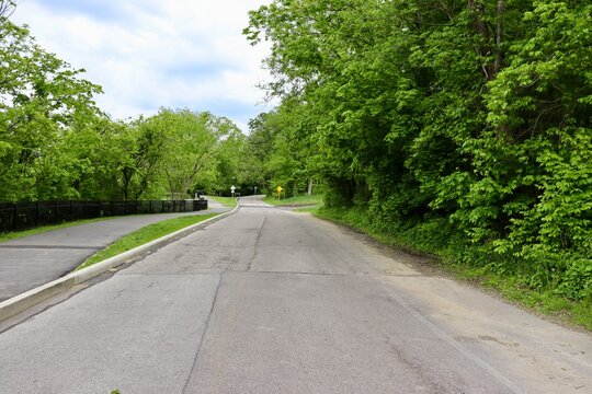 The long empty road in the woods.