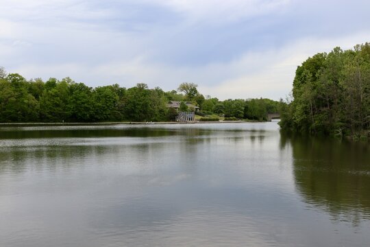 The quiet lake in the countryside on a sunny day.