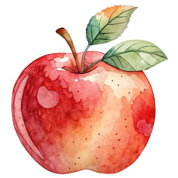 Detailed watercolor illustration of a fresh ripe bright red apple with a branch and green leaves isolated