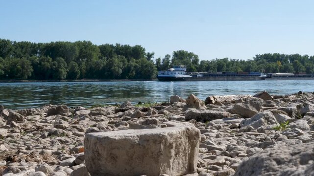 Banks and riverbed of Rhine river in Walluf, Germany. Extraordinary low water level after a long period of drought in 2026.