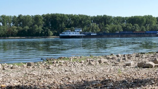 Banks and riverbed of Rhine river in Walluf, Germany. Extraordinary low water level after a long period of drought in 2026.