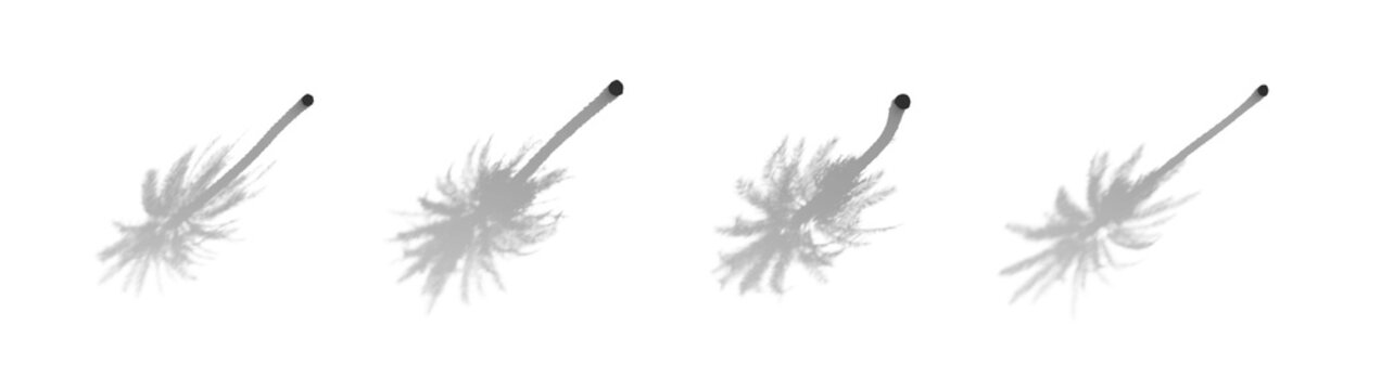 4 realistic aesthetic shadows from palm tree isolated png on a transparent background premium cutout (palm shadows, tropical shadow overlays)