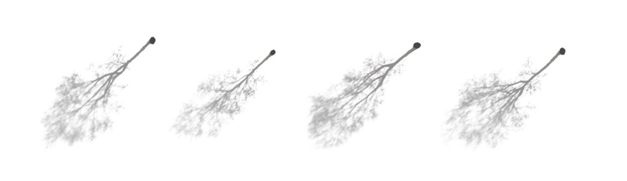 4 realistic aesthetic shadows from tree isolated png on a transparent background premium cutout (tree shadow overlays, shadow pack for design)