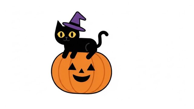 Cute Black Cat with Witch Hat on Pumpkin (Felis catus) - Halloween Animation