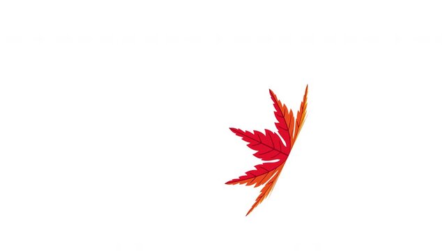 Red Maple Leaf Gliding Across Open White Space with Graceful Autumn Movement and Minimal Seasonal Design Prores Alpha 4K 60 fps