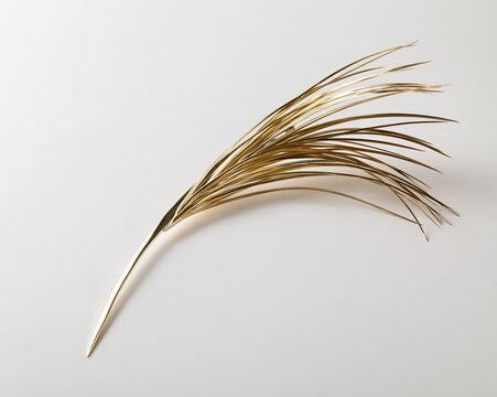 Golden Feather Hair Pin with Dried Palm Fronds