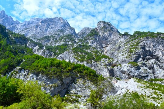 Steep mountain slopes with trees in green summer foliage above Krnica in Julian alps, Gorenjska, Slovenia