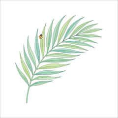 Fototapeta premium Watercolor Palm Leaf with Ladybug Illustration.
