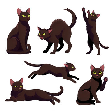 Collection of brown cats in various poses during daytime isolated on transparent background