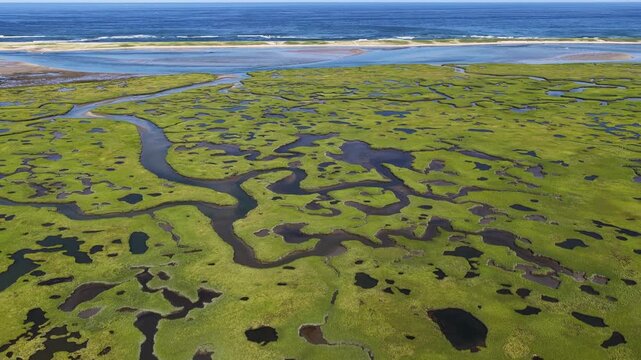 A myriad of channels meander through an extensive salt marsh on the scenic coast of Cape Cod, MA. Marshes provide critical habitat for many birds, fish, and invertebrates to feed, mate, and nest.