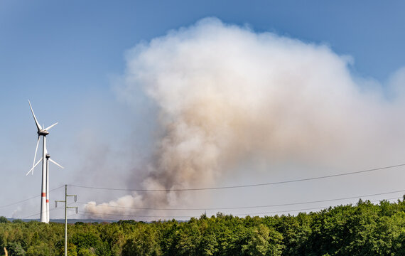 dangerous forest fire because of extreme weather change.