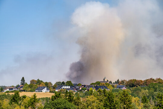 dangerous forest fire because of extreme weather change.