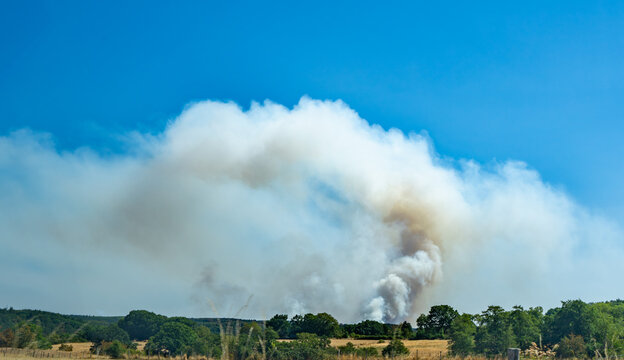 dangerous forest fire because of extreme weather change.