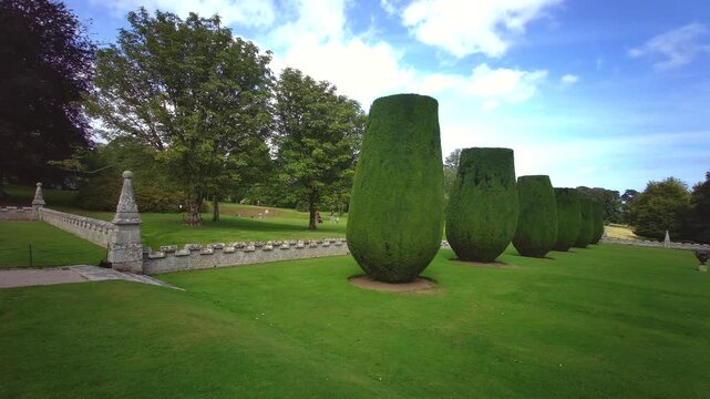 Vibrant, blooming flowerbeds are perfectly framed by low boxwood hedges and large shaped yew trees at the historic Lanhydrock Estate in Cornwall, United Kingdom, filmed on 24.08.2024