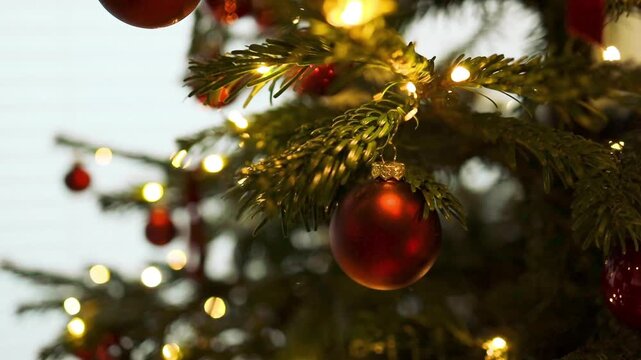 Festive video of a shiny red bauble decorating a green Christmas tree branch with warm shimmering fairy lights and beautiful soft bokeh background.