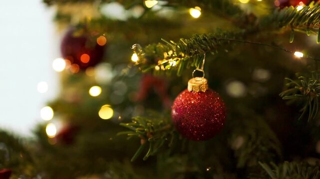 Festive video of a shiny red bauble decorating a green Christmas tree branch with warm shimmering fairy lights and beautiful soft bokeh background.