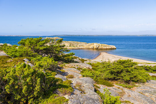 Felsen und B&auml;ume an der K&uuml;ste der Insel Salt&ouml; nahe Str&ouml;mstad, Schweden