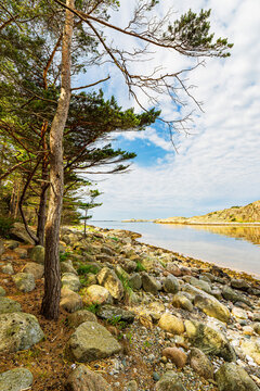 Felsen und B&auml;ume an der K&uuml;ste der Insel Ross&ouml; nahe Str&ouml;mstad, Schweden
