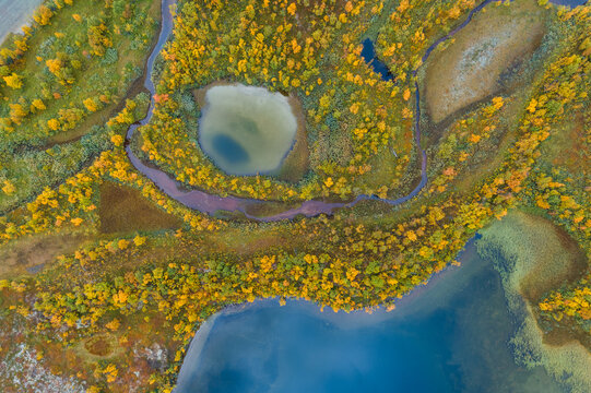 Colorful autumn wetland and ponds in Northern Norway