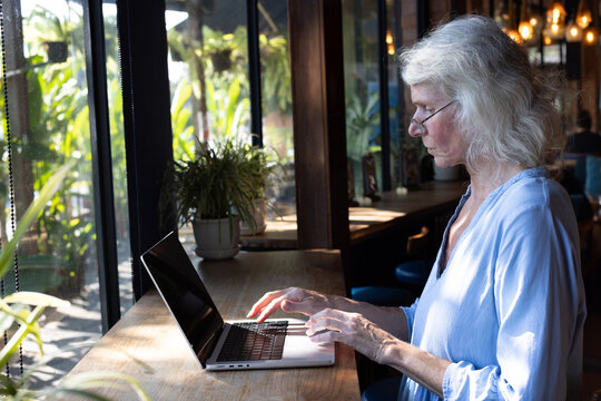 focused senior woman works on laptop computer in cafe