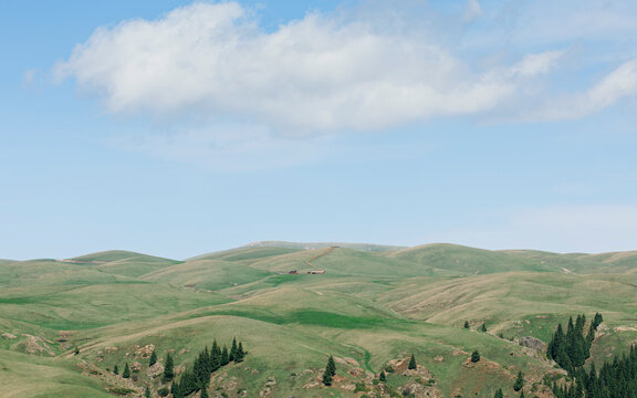 Texture of the Earth: Rolling Hills Beneath the Cloud Shadows.