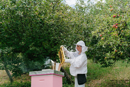 Bee farming