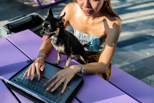 Woman using laptop with Chihuahua dog at outdoor table