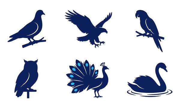 Six stylish black silhouette birds and waterfowl set