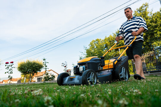 Low angle view of man mowing lawn in residential garden