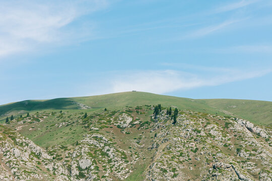 A Poetic Glimpse of Life Among Livestock and Pristine Pastures.