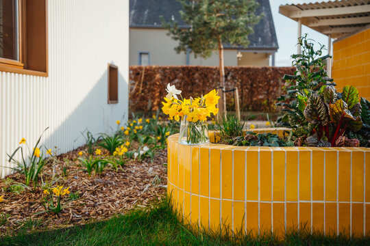 bright yellow flower garden with modern design