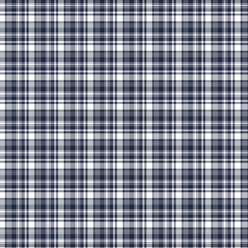 Navy Blue and White Plaid Checkered Texture Background