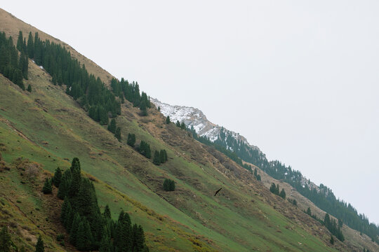 Mountain Geometry: Rhythmic Alpine Slopes in Diagonal Composition.