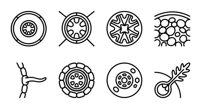 Botanical Stomata Icons, Plant Leaf Anatomy Vector Graphics, Microscopic Cell Structures Set