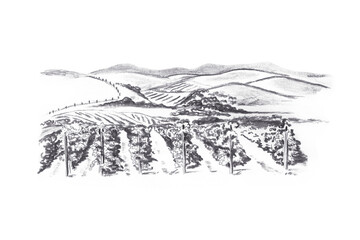 Naklejka premium Tuscany vineyard charcoal sketch illustration isolated on white background. Hand drawn black Italian rural landscape element. Detailed vintage travel art for postcard, logo, print