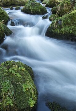 Germany, Saxony, Triebtal, rivers, high size, portrait format, landscape, atmosphere, Vogtland