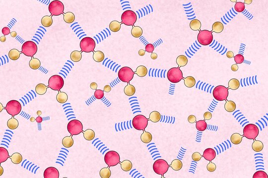 Chemical illustration of Hydrogen Bond Network