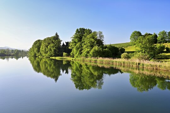 Flat lake in spring, trees reflected in water, Rottenschwil, Canton Aargau, Switzerland