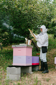 Bee farming