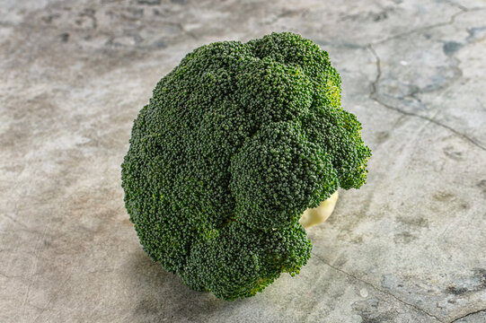 Fresh green broccoli head on textured stone surface