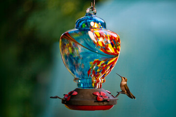 Naklejka premium Colorful hummingbird feeder attracts birds in a garden during the day