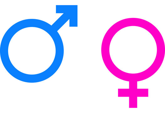 blue and pink gender symbol icon set. male and female sex signs for profile demographic
